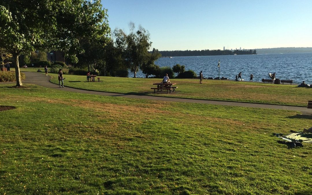 Discover the Hidden Beauty of Doris Cooper Houghton Beach Park