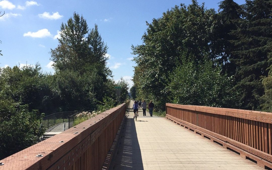 Uncovering Kirkland’s Hidden Gem: The Cross Kirkland Corridor Trail