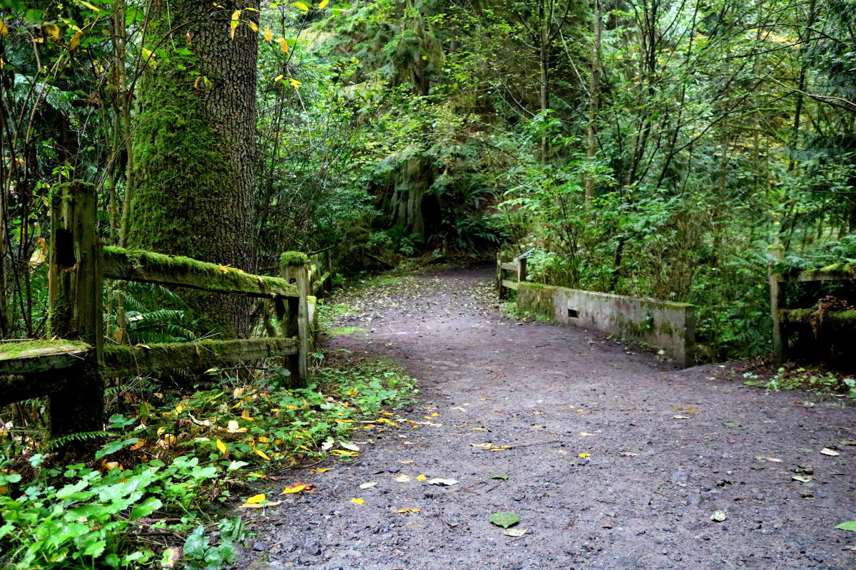 Perry Claw Heavy best summed up his adventurous journey of walking through Kirkland's parks during the pandemic.