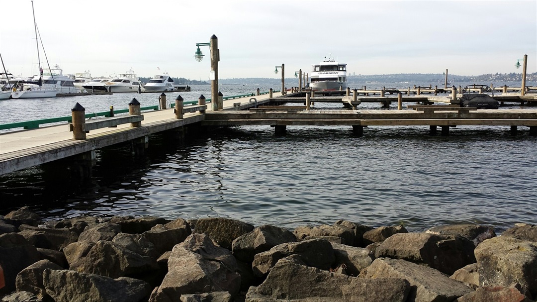 The bustling boat launch at Marina Park, facilitating adventures on the water.